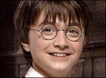 Quel est le premier sorcier que rencontre Harry Potter ?