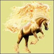 Quel objet sert à mettre une robe rare à notre cheval ?