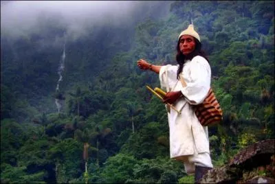 De nos jours, une maladie atteint des sommets ! Les hauts plateaux colombiens et éthiopiens. Elle frappe en raison du réchauffement climatique jusqu'à 2400m. Quelle est cette maladie ?