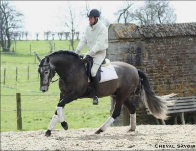 Qu(est-ce que l'impulsion ?