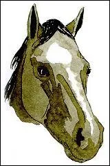 Ceci est une liste :