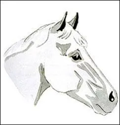 Ceci est une liste :