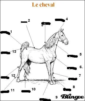 Les numéros 1, 2, 3, 4, 5 correspondent à :