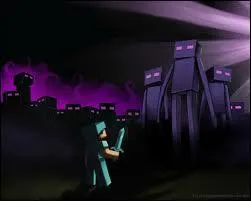 Les endermen n'attaquent que si on les regarde (ou les attaque).