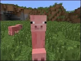 Les creepers ont été créés à cause d'un bug de création de cochon.