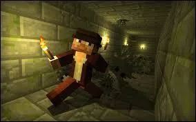 Les silverfish (ou poissons d'argent) apparaissent quand on casse certains blocs.