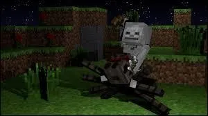 Les squelettes chevauchant les araignées ne peuvent pas tirer de flèches.