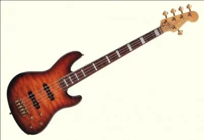 Comment s'appelle cet instrument de musique ?