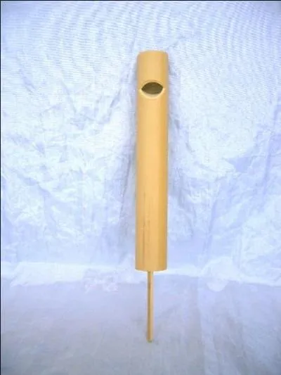 Comment s'appelle cet instrument de musique ?