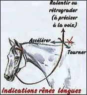 Qu'indique ce schéma ?