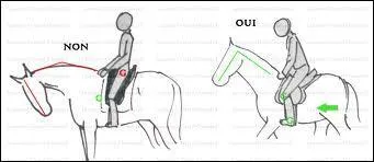 Qu'indique ce schéma ?