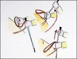 Qu'est représenté sur ce schéma ? 