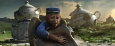 Quel est le problème de Finley quand le magicien le rencontre ?