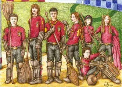 De quel tome est extraite cette citation ? "- J'ai rêvé que je jouais au Quidditch, l'autre nuit. À ton avis, qu'est-ce que ça veut dire ?
- Sans doute que tu vas être dévoré par une guimauve géante ou quelque chose comme ça." Ron et Harry