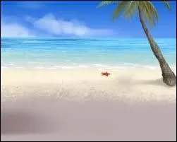 Qu'est-ce qu'une "Bimbo" ne peut pas faire ?