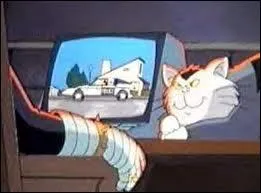 Qui dirige l'organisation criminelle MAD dans un célèbre dessin animé des années 80 ?