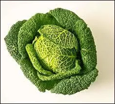 Le mot commence par Mi...