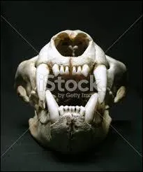 Le mot commence par Mi...