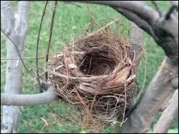 Le mot commence par Mi...