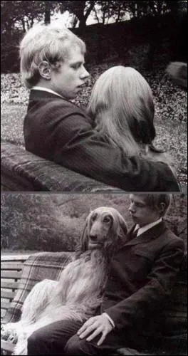 C'est une chanson de Georges Brassens !