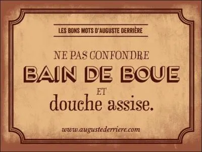 Agrandissez l'image, il vous faudra regarder par-dessus l'épaule pour trouver le titre de ce film, réalisé par Valérie Lemercier !