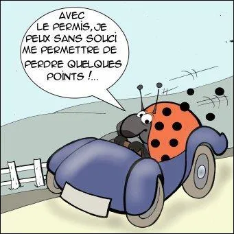 En quelle année a été créé le permis à points ?