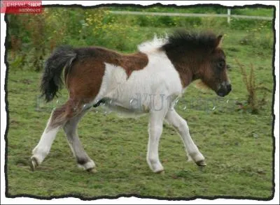 Quelle est cette robe?