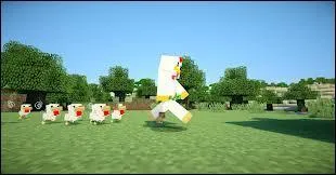 Les poules peuvent se reproduire si on leur donne des graines de citrouille.