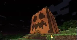 Une seule graine de citrouille permet de faire pousser des citrouilles à l'infini