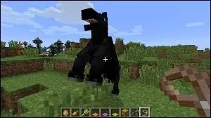 Si on veut monter un cheval apprivoisé , il faut...