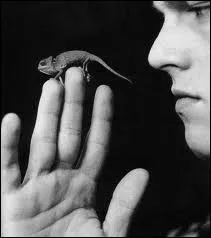 Combien de temps Leonardo DiCaprio a réfléchi pour savoir s'il faisait vraiment le film ?