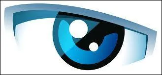 Quelle saison de "Secret Story" est actuellement diffusée sur Disney Channel ?