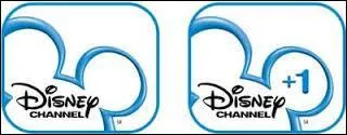 Existe-t-il une chaîne Disney Channel +2 ?