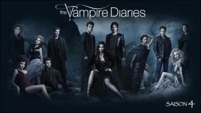 Quel personnage lui ressemble le plus au niveau du caractère dans "The Vampire Diaries" ?