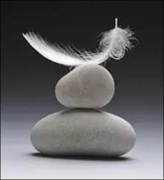 Culture générale - Quel est le plus lourd ?