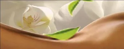 Quelle est la partie la plus épaisse de la peau ?