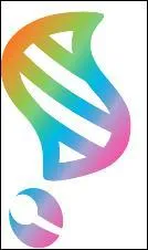 Combien existe-t-il de machine(s) à Méga-Evolution ?