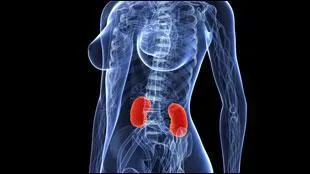 Je suis l'un des fondateurs du fauvisme. Mon homonyme est sur cette image, qui suis-je ?