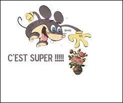 J'ai appartenu au mouvement Nabis, puis j'ai peint de multiples toiles dans les Alpes Maritimes et notamment au Cannet : Quand on parle de moi on 
dit "c'est super ! "... Ou alors on dit "c'est mon nom" !