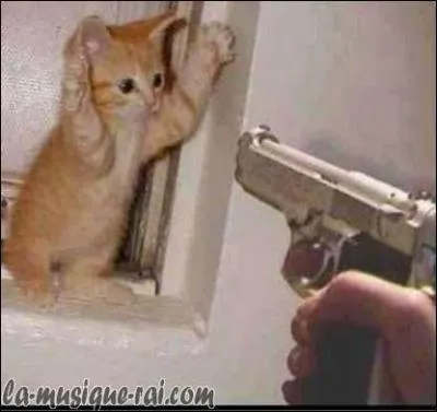 L'homme sur l'image imite mon nom, je suis un peintre cubiste :