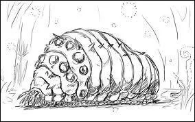 De quelles couleurs peuvent être les yeux des Omus ?