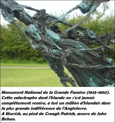 Pour quelles raisons la grande famine en Irlande (1845 à 1852) s'est-elle aggravée ?