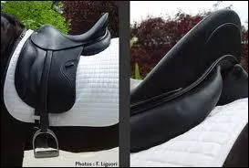 Quel est le type de selle sur l'image ?