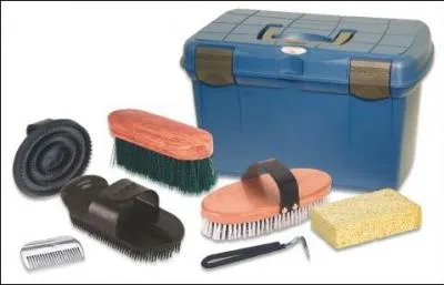 Combien de sortes de brosses existe- t-il pour panser un cheval ?