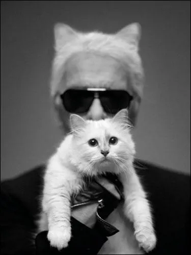 En premier plan, on admire Choupette, la chatte bien-aimée du personnage de second plan, qui a copié ses oreilles. Qui est-il ?