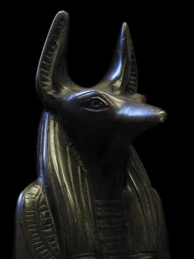 Cette sculpture du dieu Anubis est une antiquité égyptienne. Ce DIeu funéraire portait une tête de ?