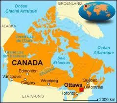 Que trouve-t-on au centre du drapeau canadien ?