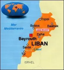 Quel arbre se trouve sur le drapeau du Liban ?