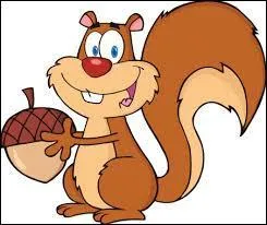 Le petit gris est un écureuil :