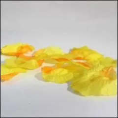 Savez-vous combien le bouton d'or a de pétales ?